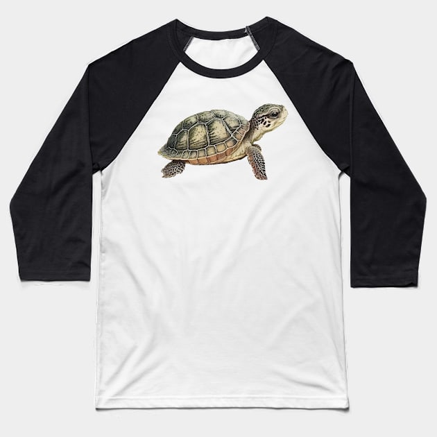 Ukiyoe Style Turtle Japanese Illustration Baseball T-Shirt by peachycrossing